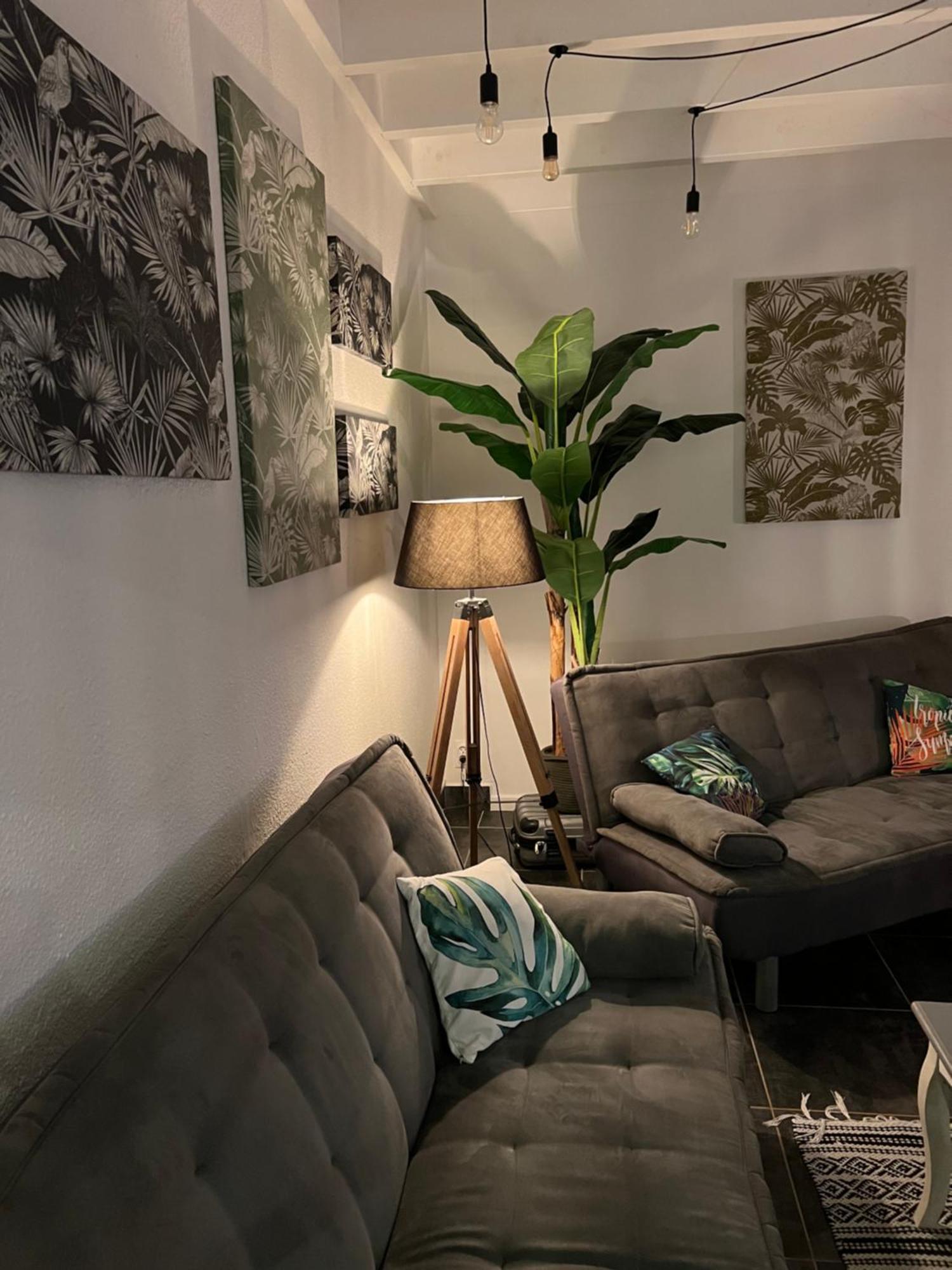 Appartement Spacieux Au Village Du Flamboyant Baie Nettle Екстер'єр фото